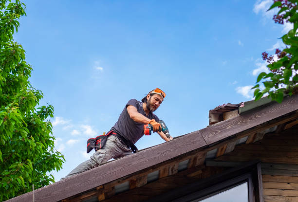 Best Green or Eco-Friendly Roofing Solutions  in Belvedere Park, GA